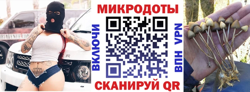 Галлюциногенные грибы MAGIC MUSHROOMS  Купить  Красный Кут 